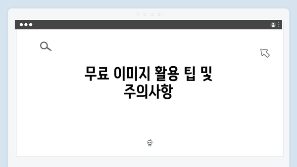 freeimagesearch.co.kr 무료 이미지 검색 플랫폼 리뷰 및 사용후기