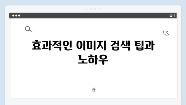 무료 이미지 통합검색 플랫폼 freeimagesearch.co.kr 완벽 가이드