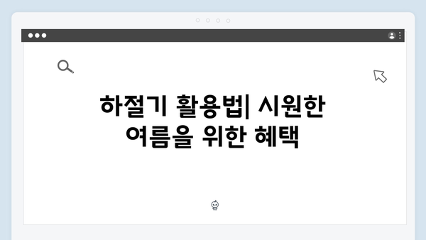 당겨쓰기 가능한 바우처? 하절기·동절기 활용법 완벽 분석