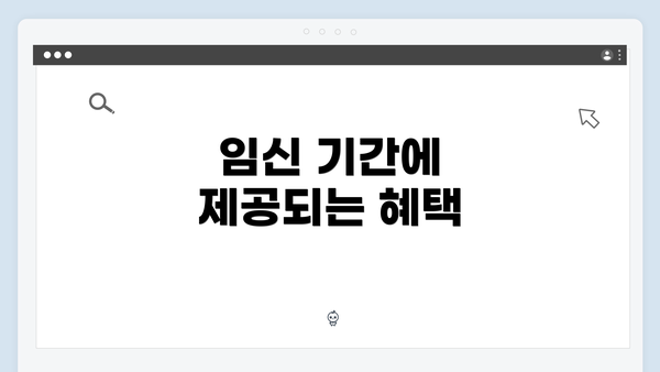 임신 기간에 제공되는 혜택