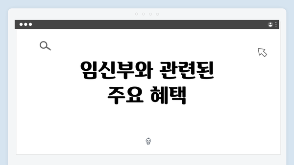 임신부와 관련된 주요 혜택