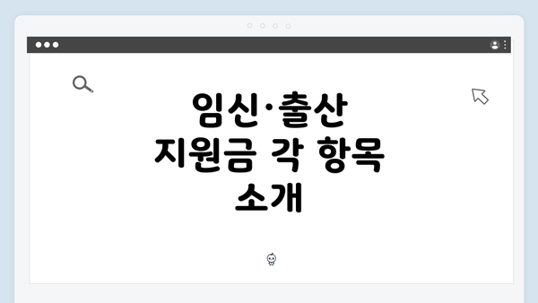 임신·출산 지원금 각 항목 소개