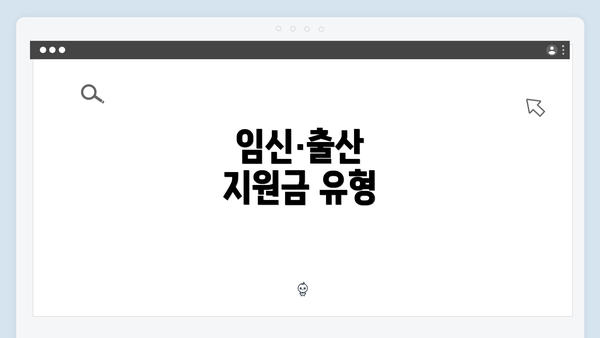 임신·출산 지원금 유형