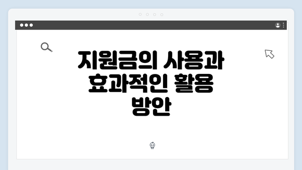 지원금의 사용과 효과적인 활용 방안
