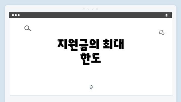 지원금의 최대 한도