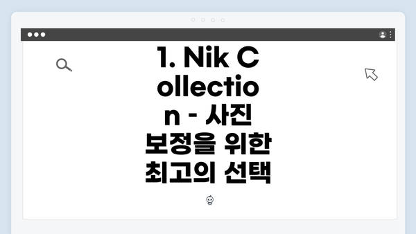 1. Nik Collection – 사진 보정을 위한 최고의 선택