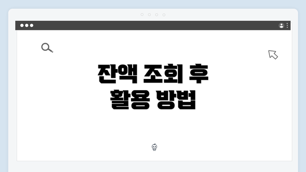 잔액 조회 후 활용 방법