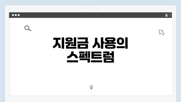 지원금 사용의 스펙트럼