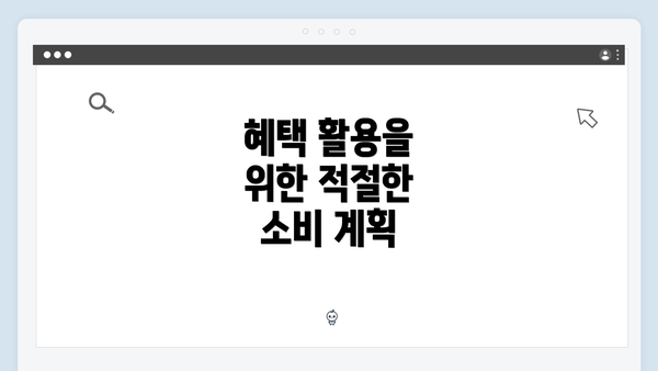 혜택 활용을 위한 적절한 소비 계획