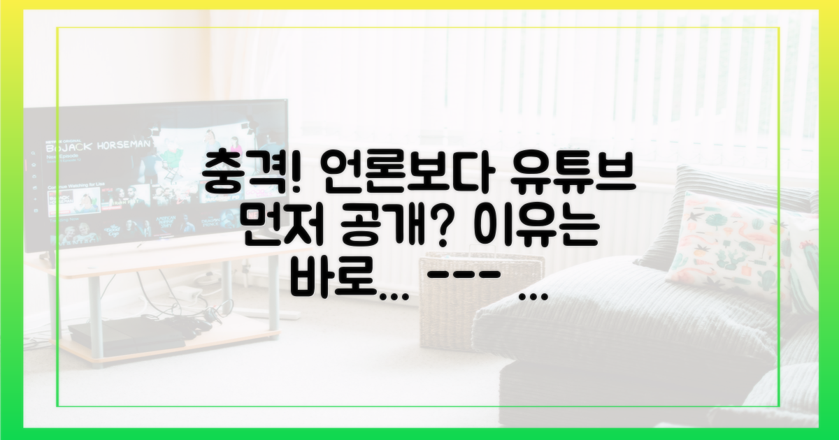 언론 발표 vs 유튜브 선공개