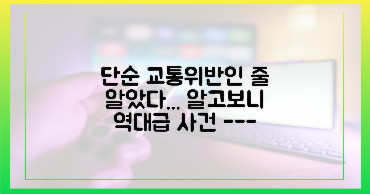 단순한 교통법규 위반이 아니었나?