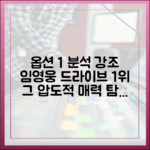 임영웅, 드라이브 1위의 매력 완벽 가이드