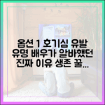 유명 배우의 알바 생존기 완벽 가이드