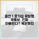 곽튜브의 대운, 예비아빠 되고 복권까지 터진 걸까?