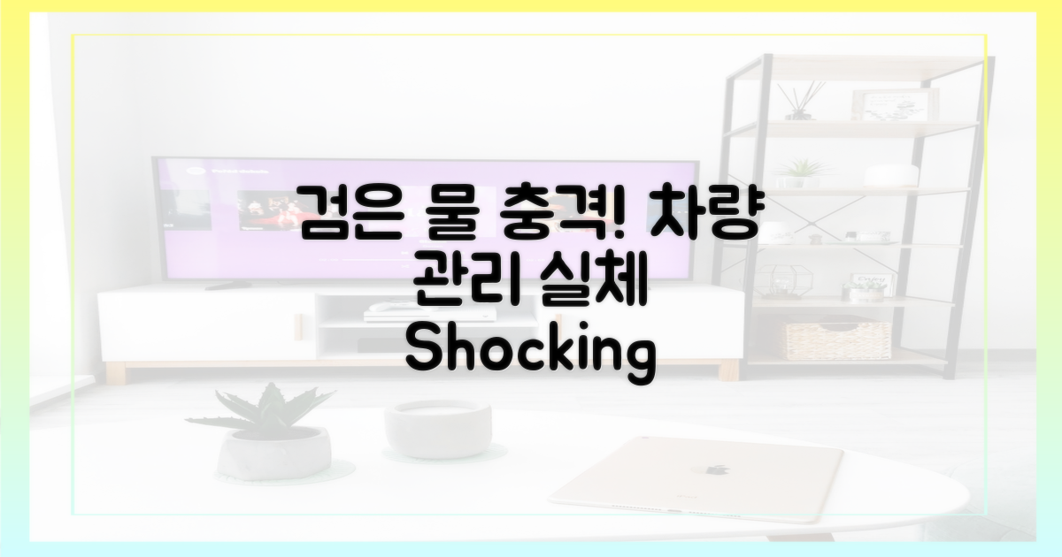 '검은 물' 충격, 현실적인 차량 관리