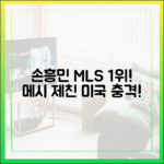 손흥민, 메시 제치고 MLS 몸값 1위! 미국이 놀란 사기캐