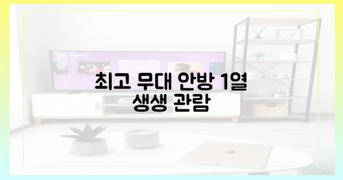 최고의 무대, 안방 1열 관람