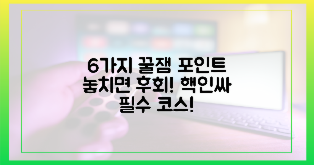 6가지 예능 포인트