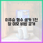 이주승 형수 셀카 1천 장: 미모 마스터 가이드