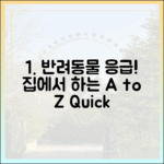 반려동물 응급 상황! 집에서 할 수 있는 응급 처치 A to Z