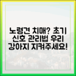 노령견 치매(인지기능장애증후군), 우리 아이를 위한 초기 신호와 관리법