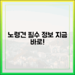 노령견 전문 동물병원, 더 늦기 전에 알아봐야 할 필수 정보