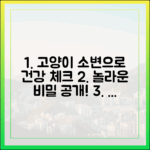 고양이 건강, 소변으로 체크하는 놀라운 비밀
