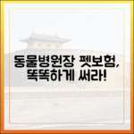 동물병원장이 말하는 펫보험의 필요성과 똑똑한 활용법