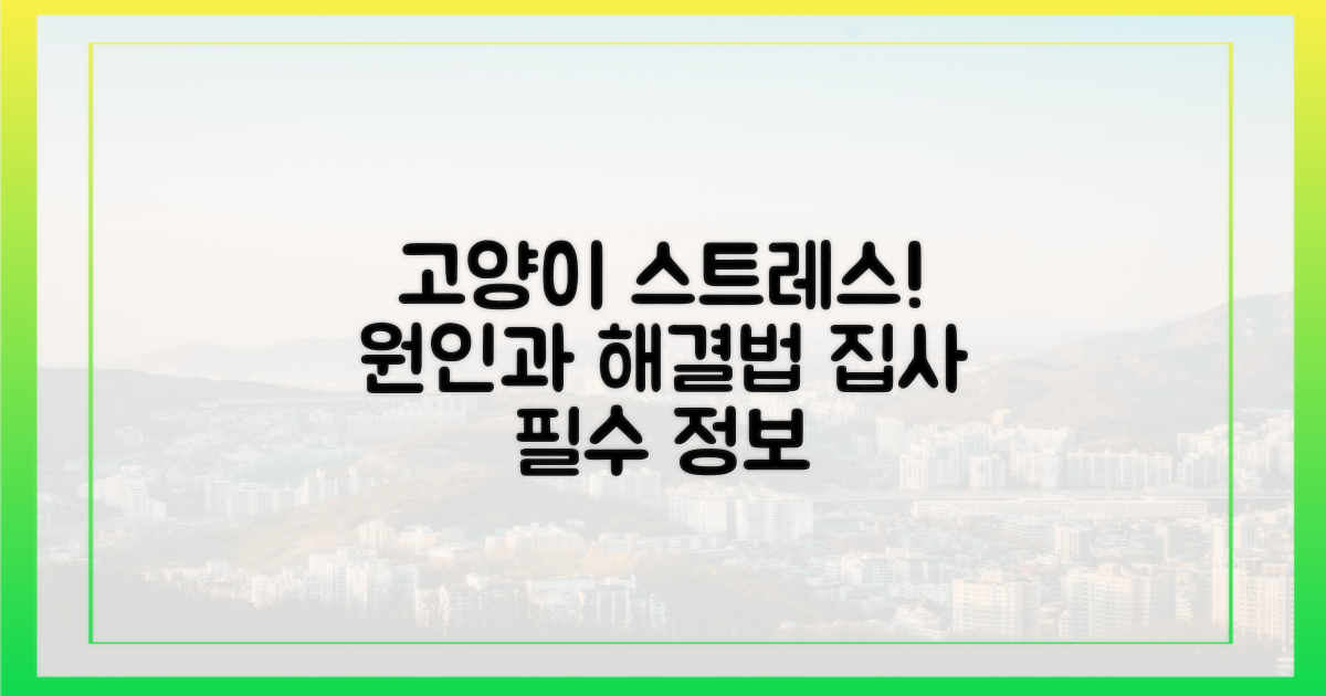 고양이 스트레스, 무엇이 문제일까?