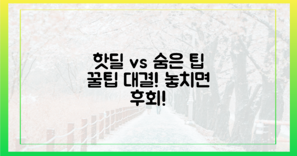 핫딜 vs 숨은 팁, 비교 분석