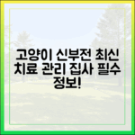 고양이 신부전, 신뢰할 수 있는 최신 치료 동향과 관리 노하우