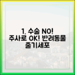 수술 대신 주사? 반려동물 줄기세포 치료의 모든 것