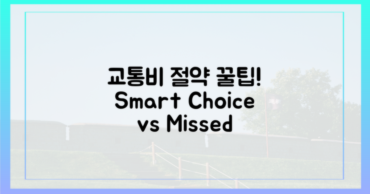 교통비 절약, 현명함 vs 놓침