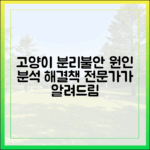 고양이 분리불안, 전문가가 알려주는 원인 분석과 해결책