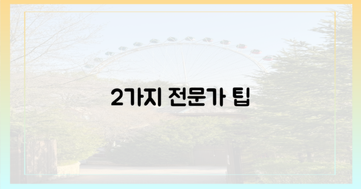 2가지 전문가 조언