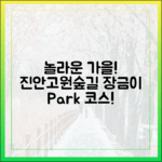 놀라운 가을! 진안고원숲길, 장금이 파크 코스!