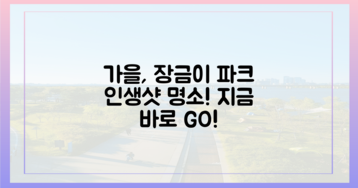 장금이 파크에서 가을을 만끽하세요!