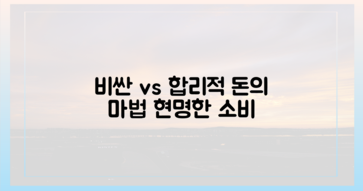 비싼 비용 vs 합리적 지출
