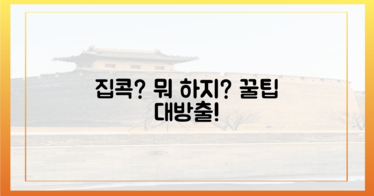 집에서 할 수 있는 건?