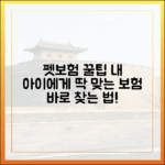 우리 강아지, 고양이에게 가장 적합한 펫보험 찾는 꿀팁