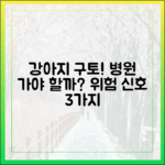 강아지가 갑자기 토할 때, 동물병원에 바로 가야 하는 위험 신호