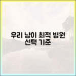 고양이 전문 동물병원, 예민한 우리 냥이를 위한 최적의 선택 기준