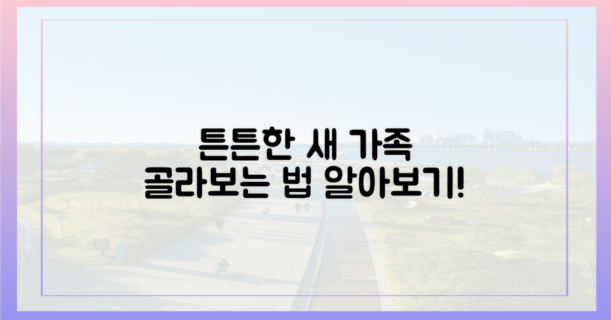 튼튼한 새 가족, 어떻게 알아볼까?