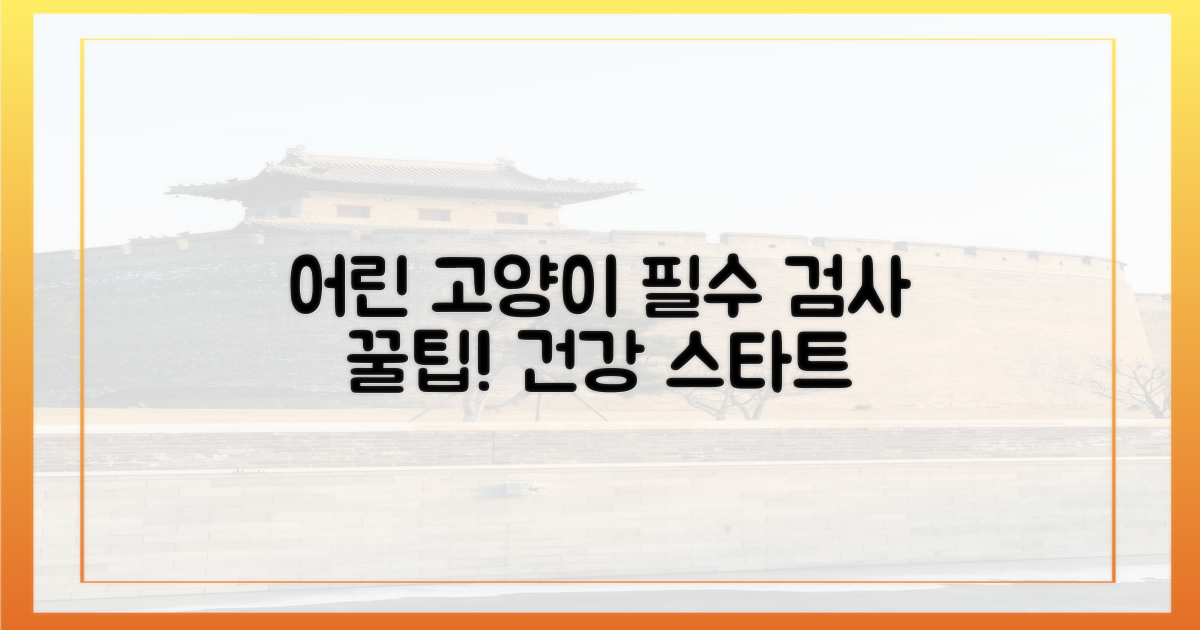 어린 고양이, 꼭 필요한 검사는?