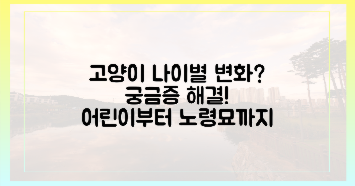 고양이, 나이에 따라 뭐가 다를까?