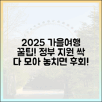 놀라운 2025 가을 여행! 정부 지원 총정리