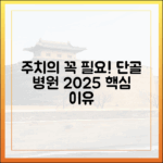 단골 동물병원, 주치의가 필요한 진짜 이유 (2025년 최신 정보)