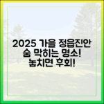 놀라운 2025 가을, 정읍·진안 명소 숨멎!