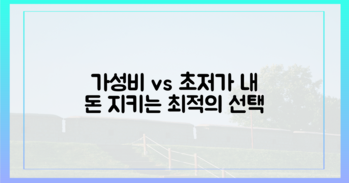 가성비 vs 초저가: 최적의 선택