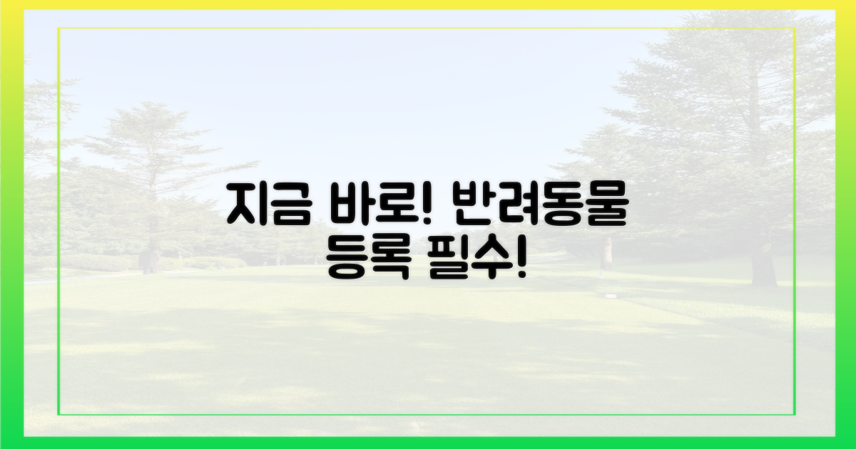 지금 바로 동물등록 하세요